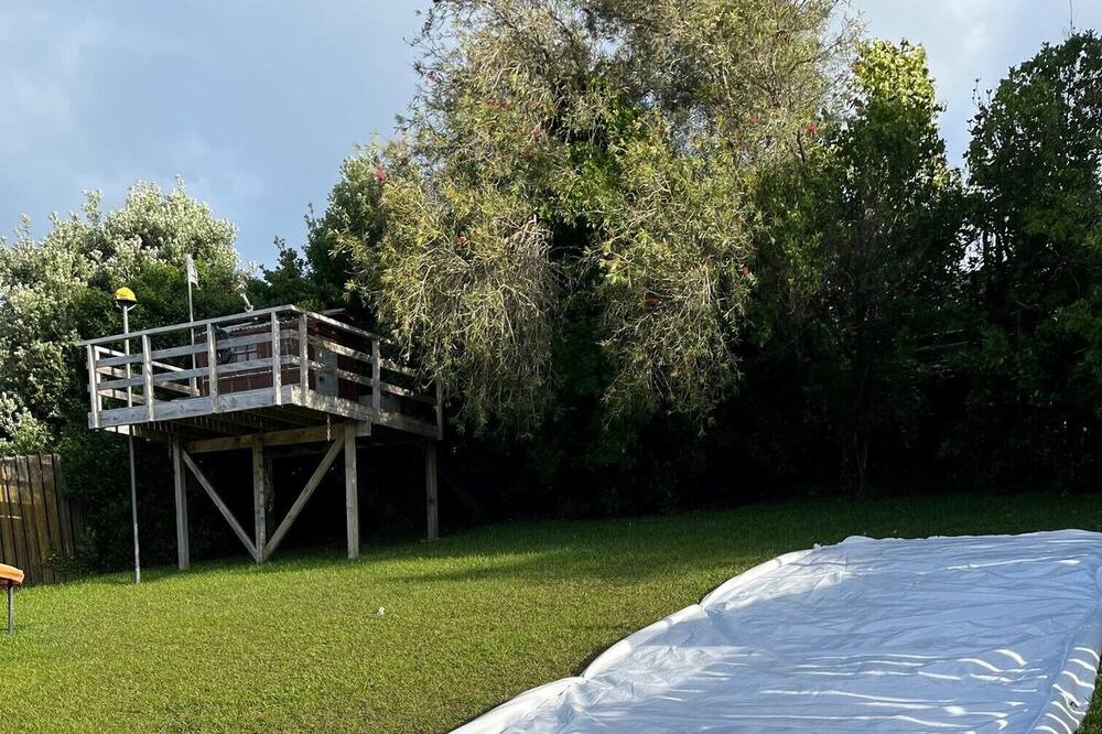 Photo of Others in Stanmore Bay