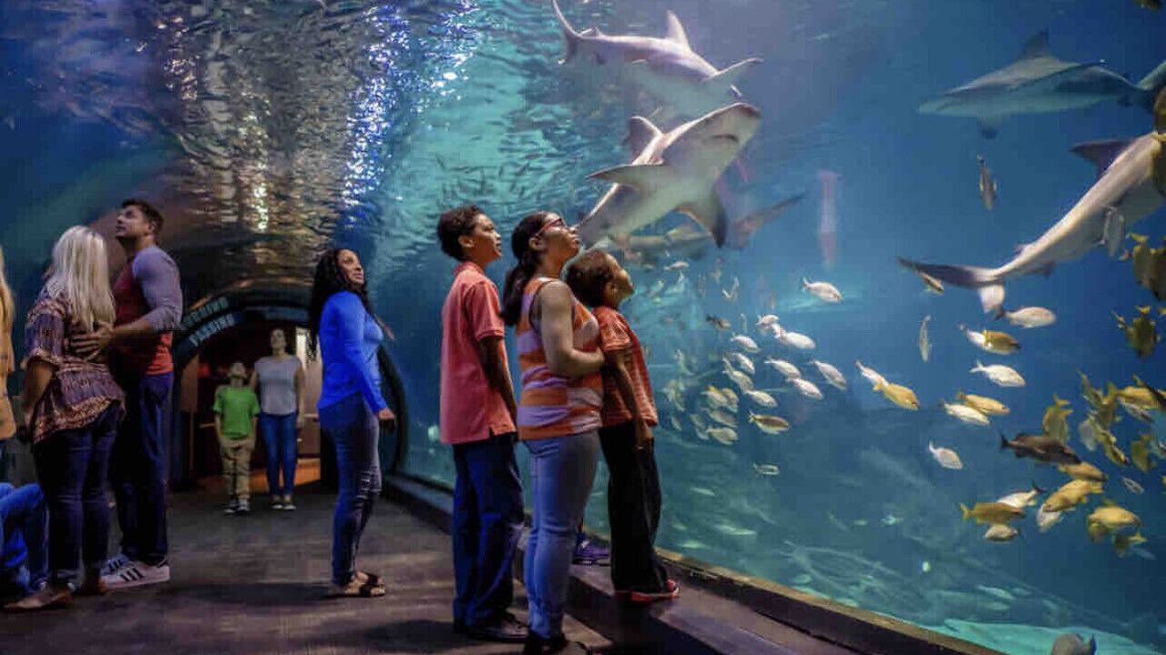 Photo of Others in Camden