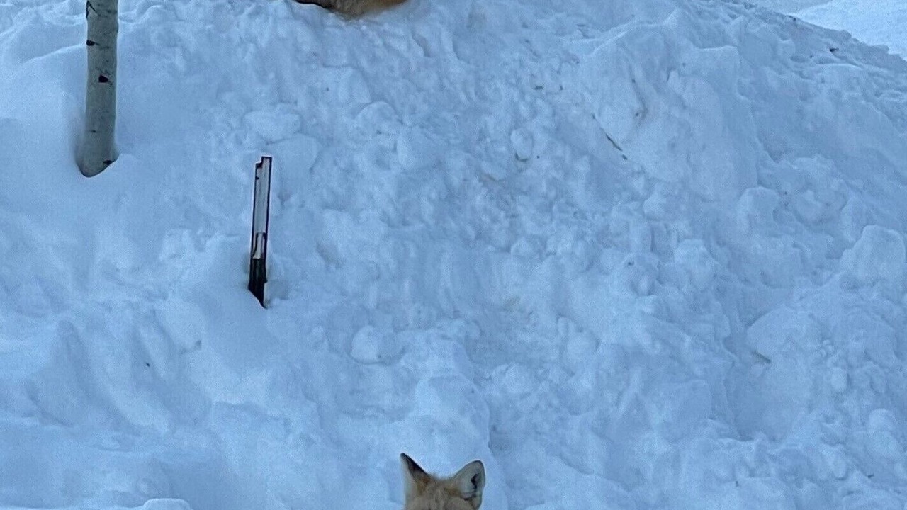 Photo of Outdoor in Saranac Lake