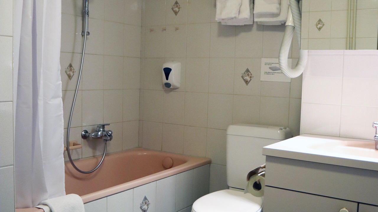 Photo of Bathroom in Gruyeres