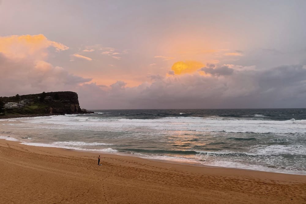 Photo of Others in Avalon Beach