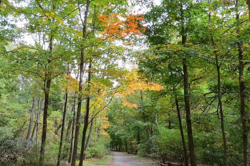 Photo of Outdoor in Irvington