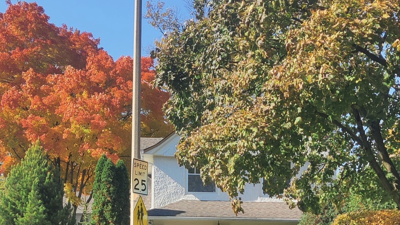 Photo of Outdoor in Oak Park