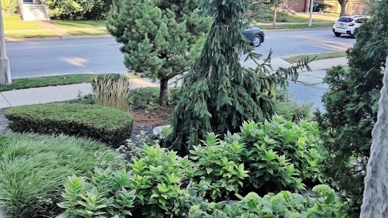 Photo of Outdoor in Oak Park