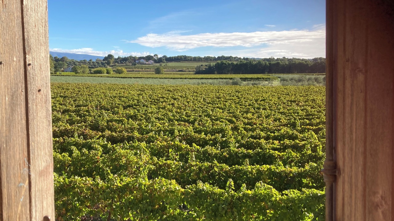 Photo of Bedroom in Mazan