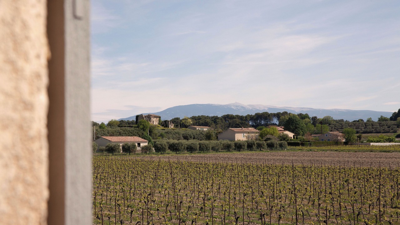 Photo of Others in Mazan