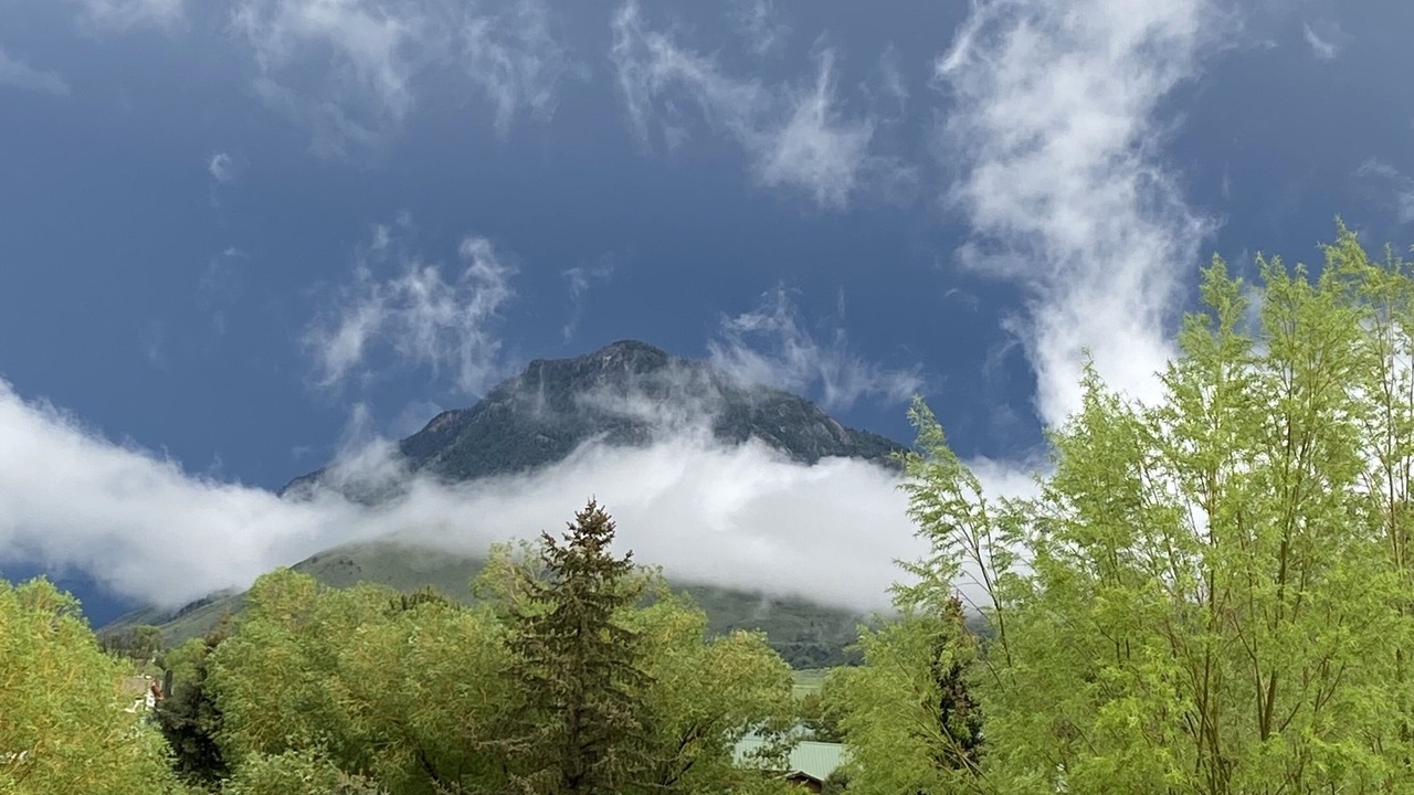 Photo of Others in Gardiner