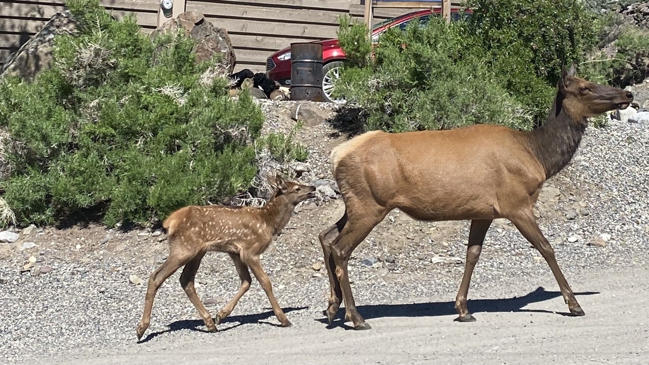 Photo of Others in Gardiner