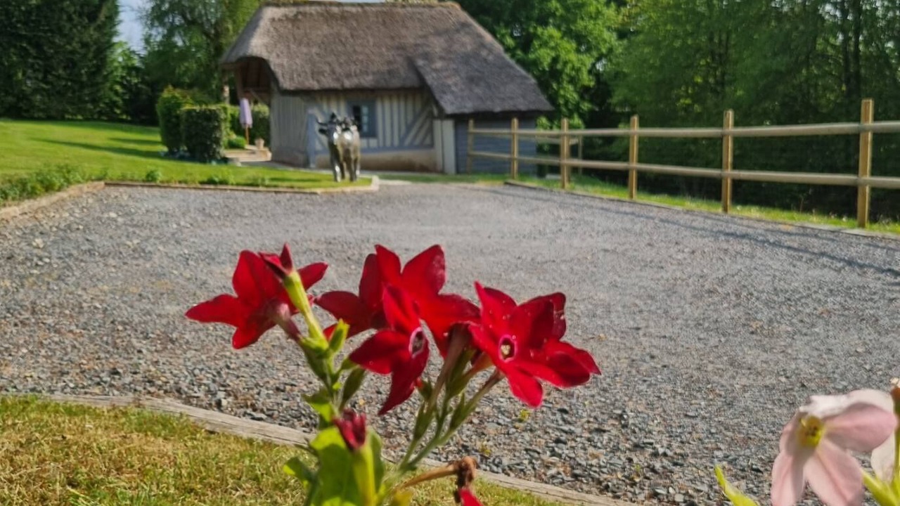 Photo of Outdoor in Saint-Andre-d'Hebertot