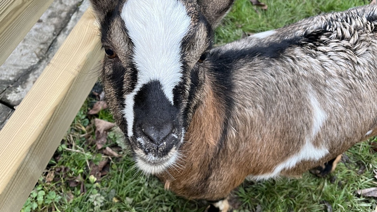 Photo of Outdoor in Saint-Andre-d'Hebertot