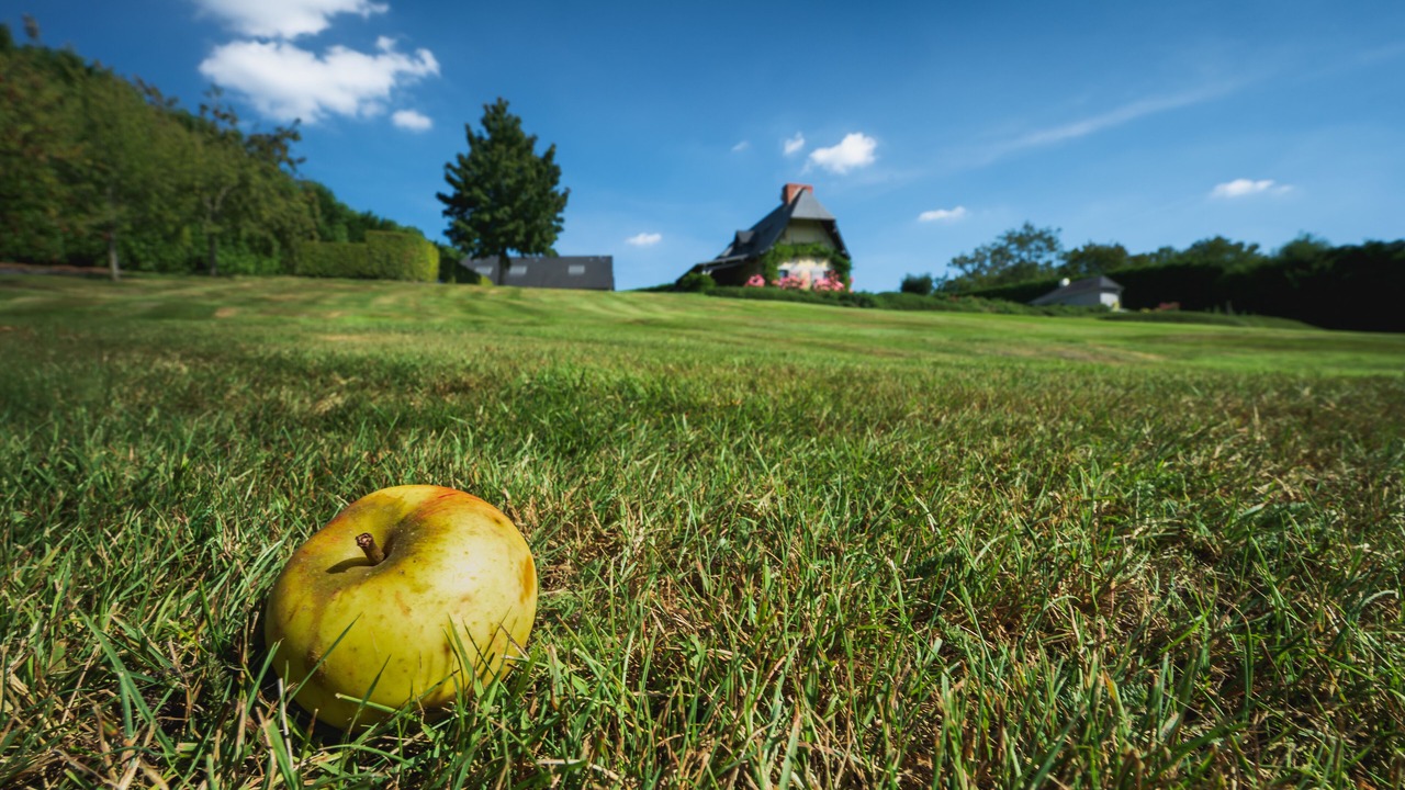 Photo of Outdoor in Saint-Andre-d'Hebertot