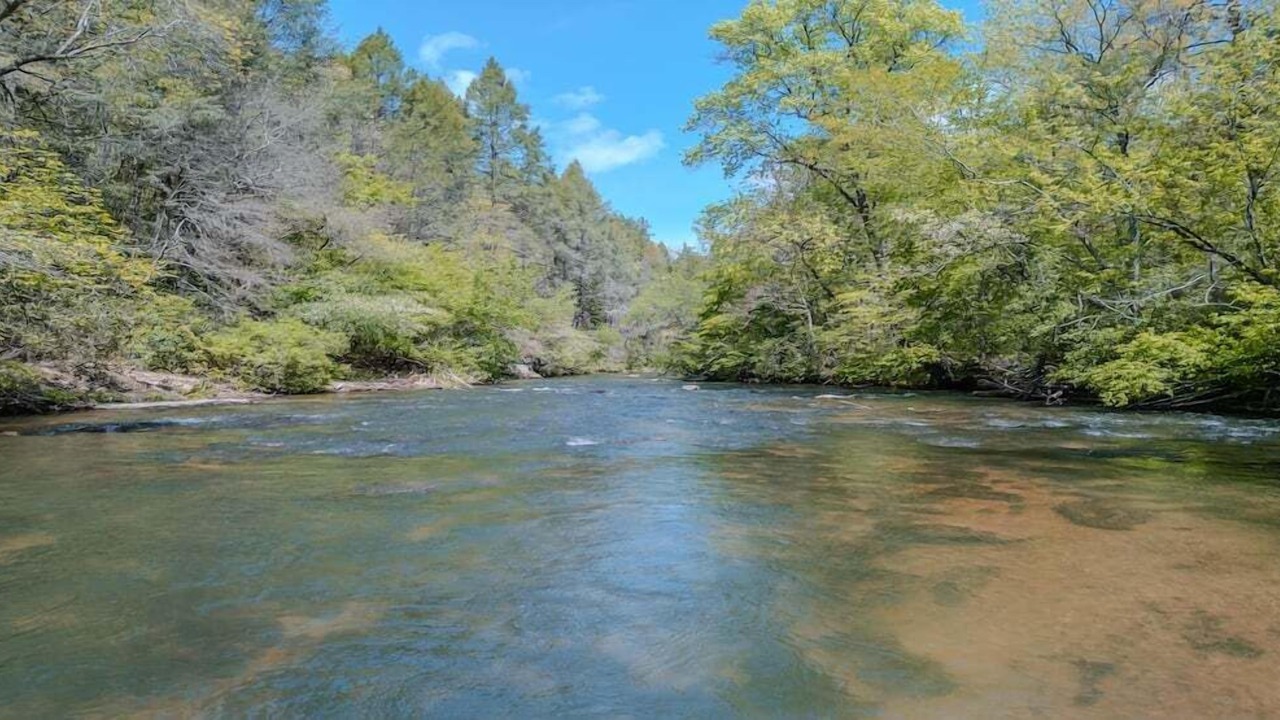 Photo of Outdoor in McCaysville