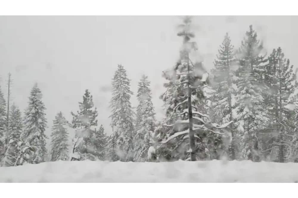 Photo of Others in Loyalton
