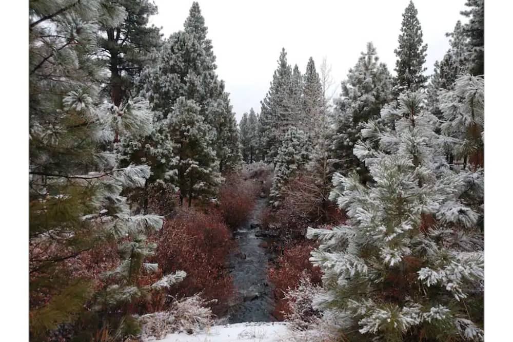 Photo of Outdoor in Loyalton