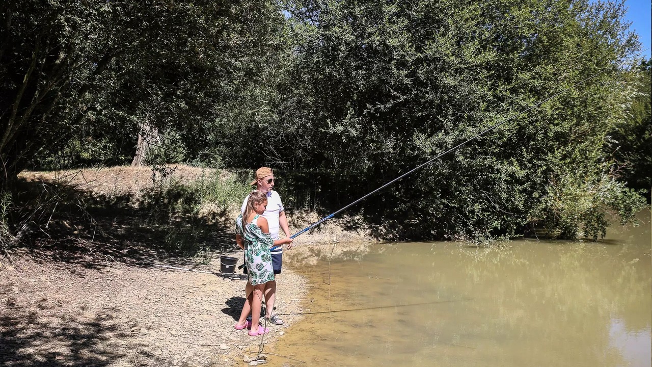 Photo of Outdoor in La Mothe-Achard