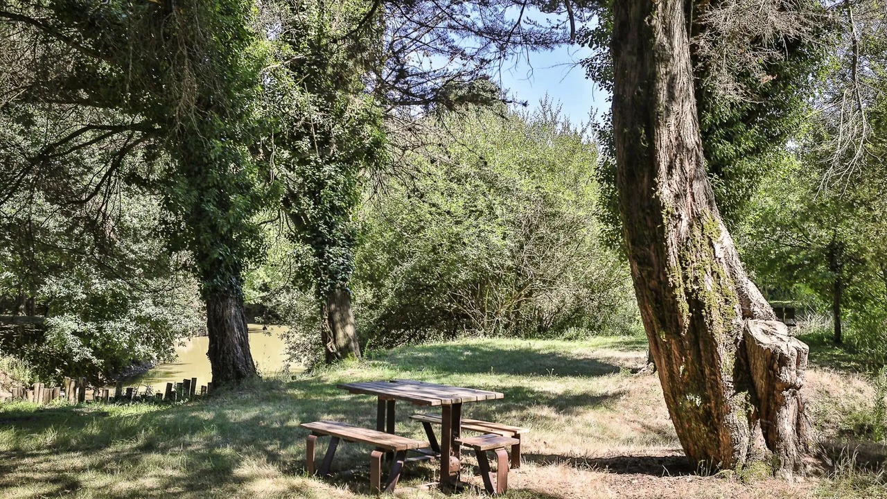 Photo of Outdoor in La Mothe-Achard