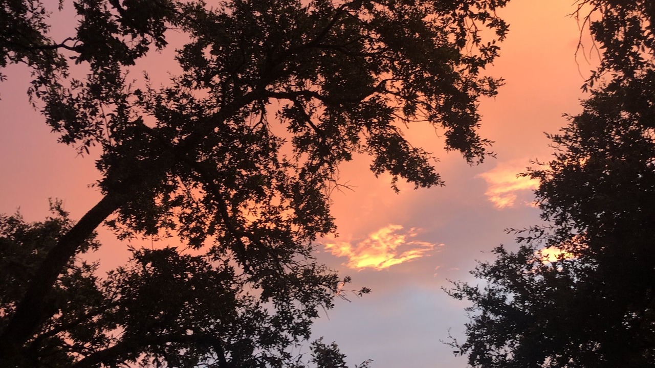 Photo of Outdoor in Austin