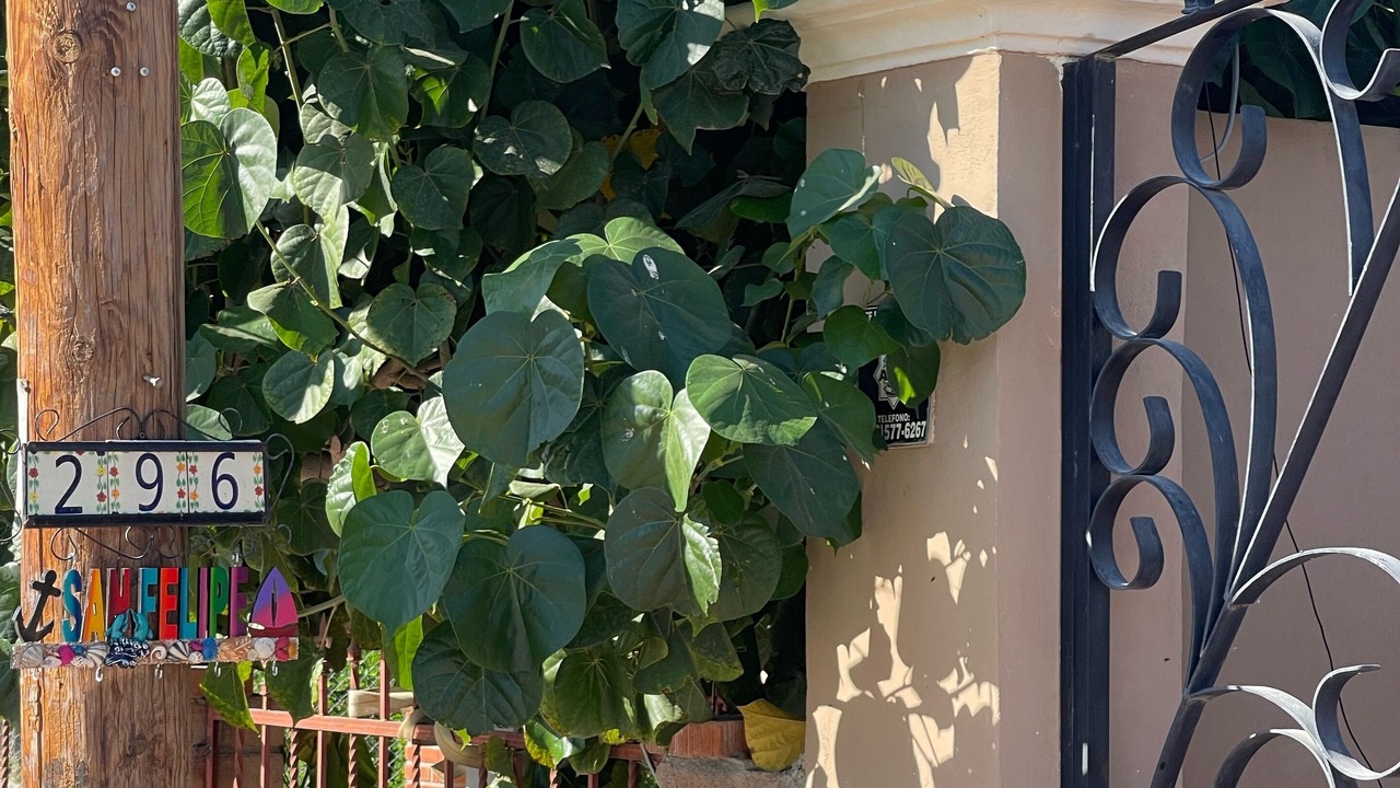 Photo of Outdoor in Primera Seccion