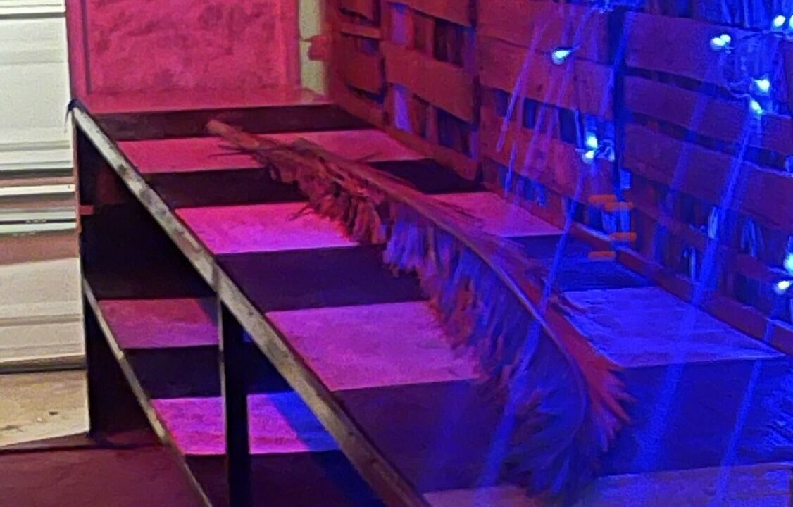 Photo of Others in Primera Seccion