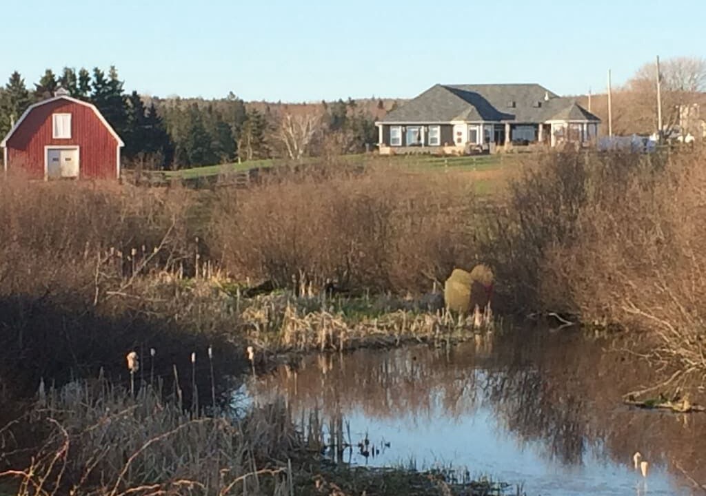 Photo of Outdoor in Charlotte's Shore