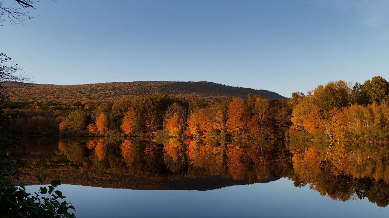 Photo of Outdoor in Wallkill