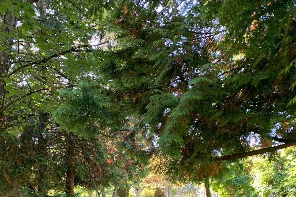 Photo of Outdoor in Fondettes