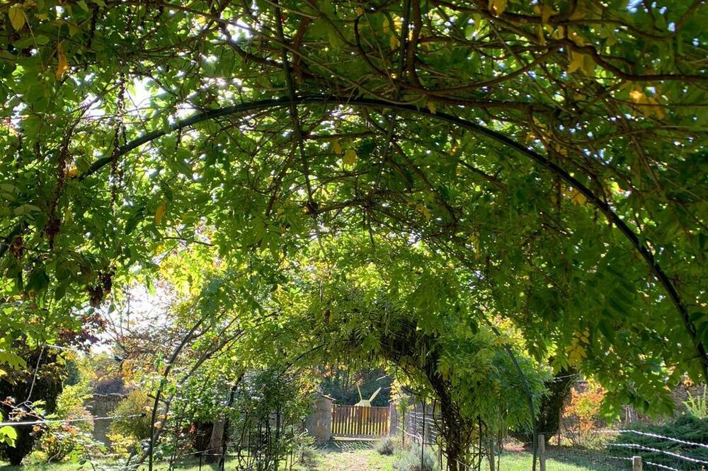 Photo of Outdoor in Fondettes