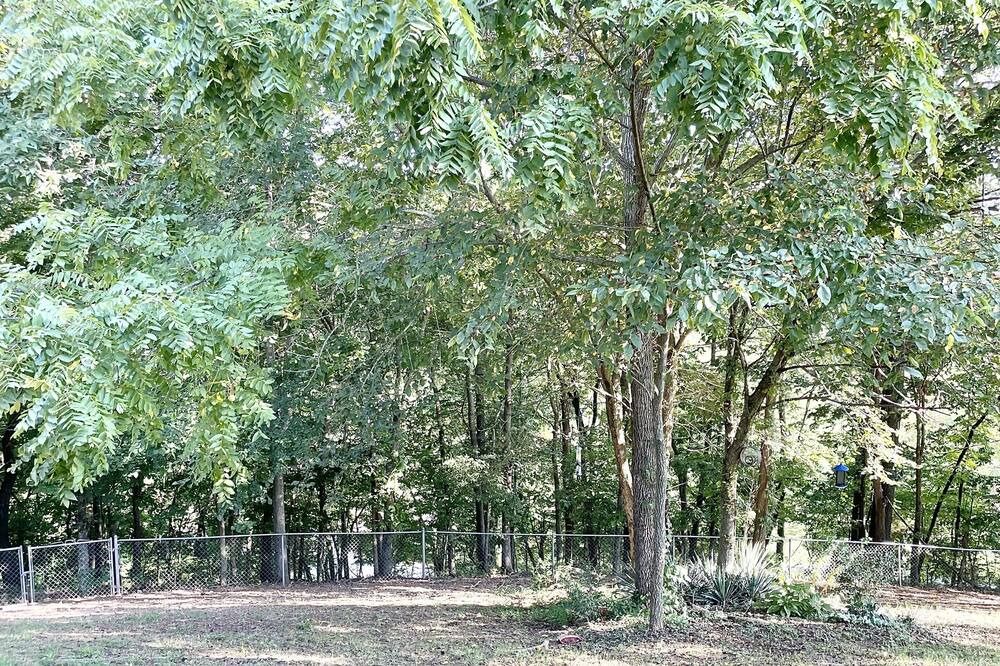 Photo of Outdoor in Prairie Creek
