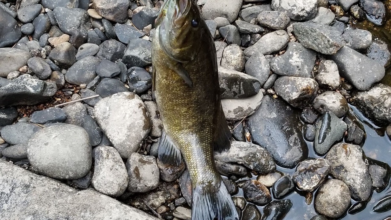 Photo of Outdoor in Burlington