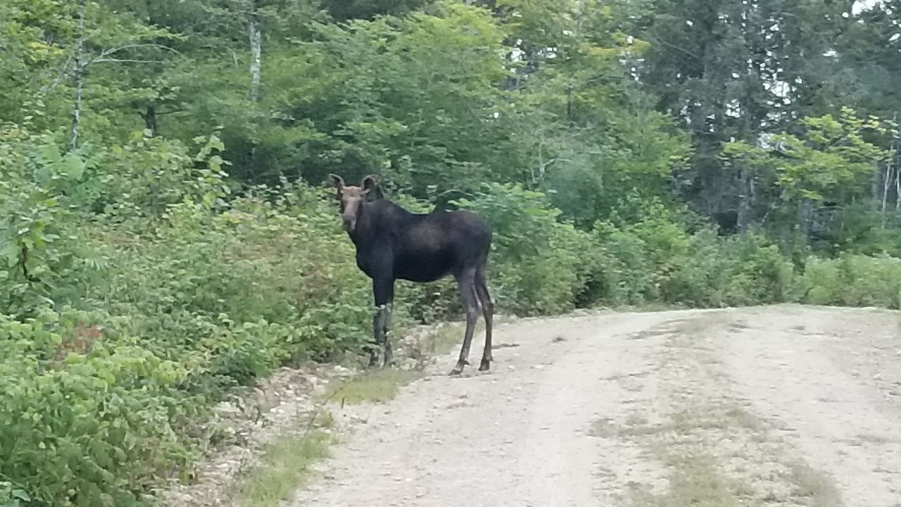 Photo of Outdoor in Burlington