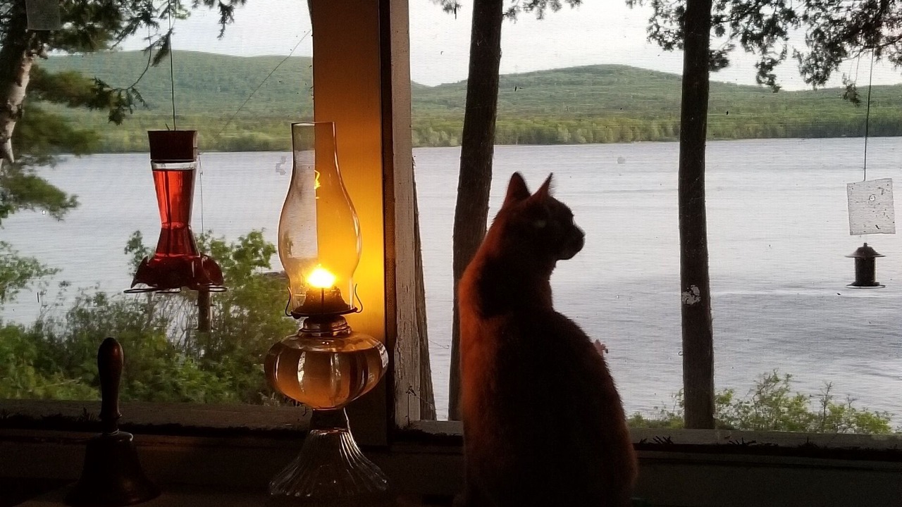 Photo of Outdoor in Burlington