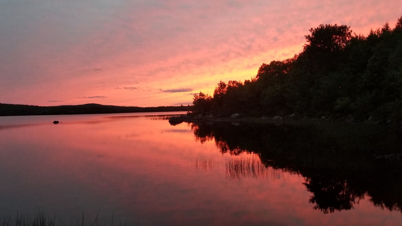 Photo of Others in Burlington