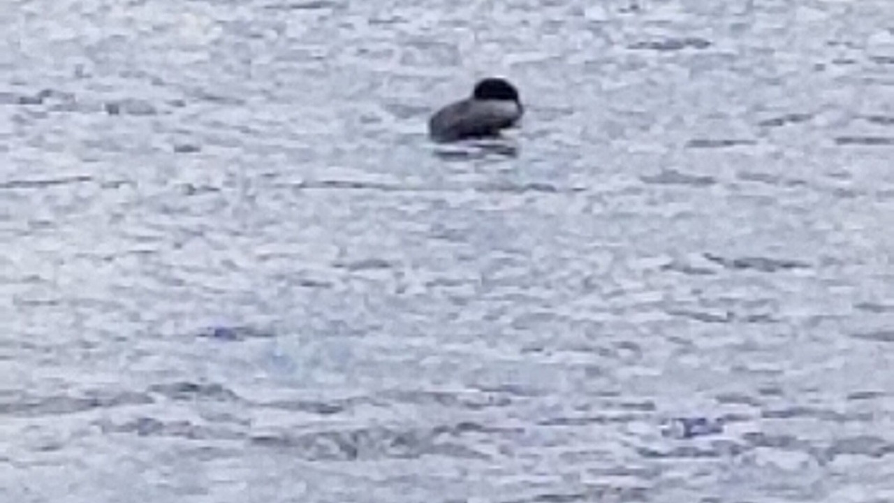 Photo of Others in Burlington