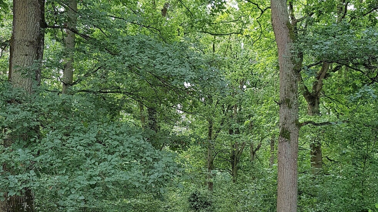 Photo of Outdoor in Marcilly-sur-Eure