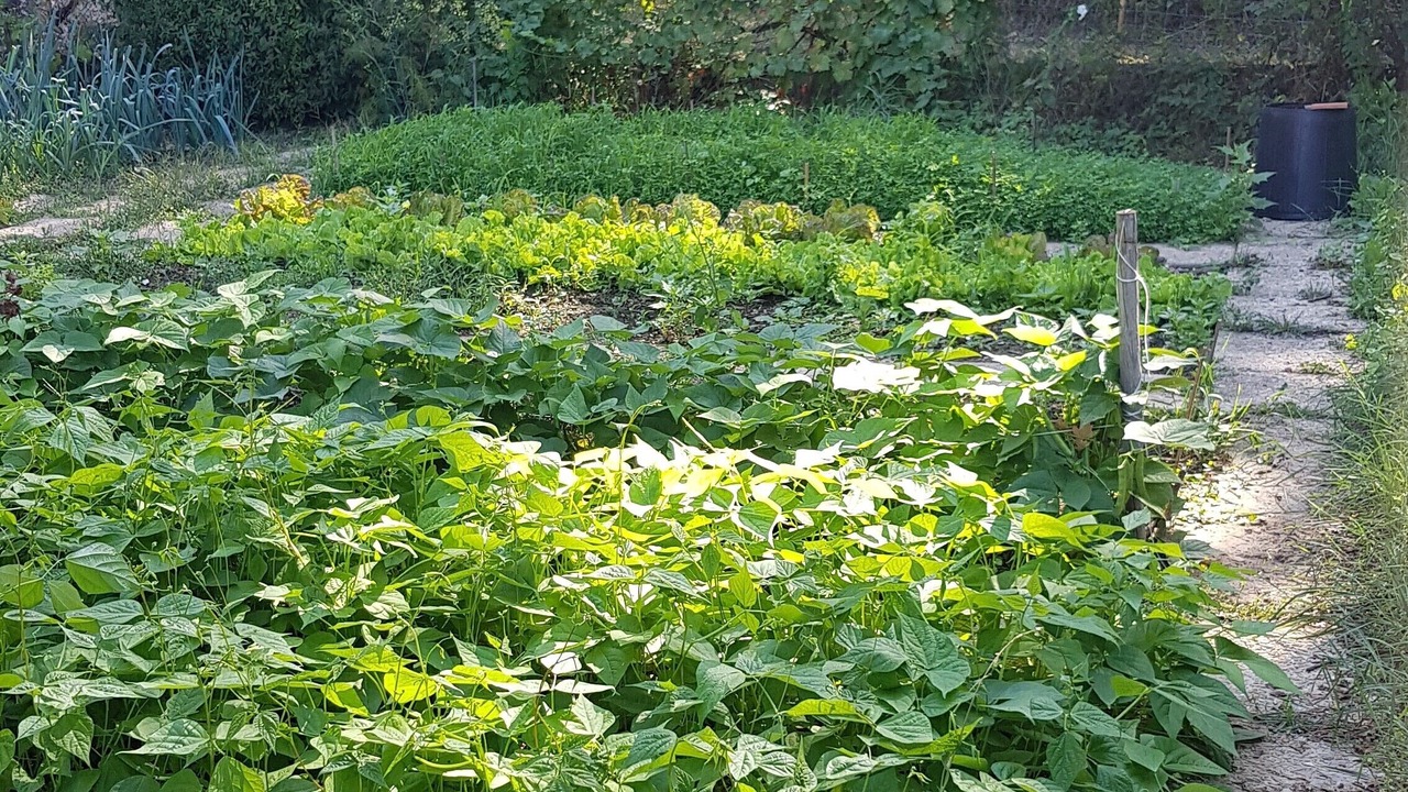 Photo of Outdoor in Marcilly-sur-Eure