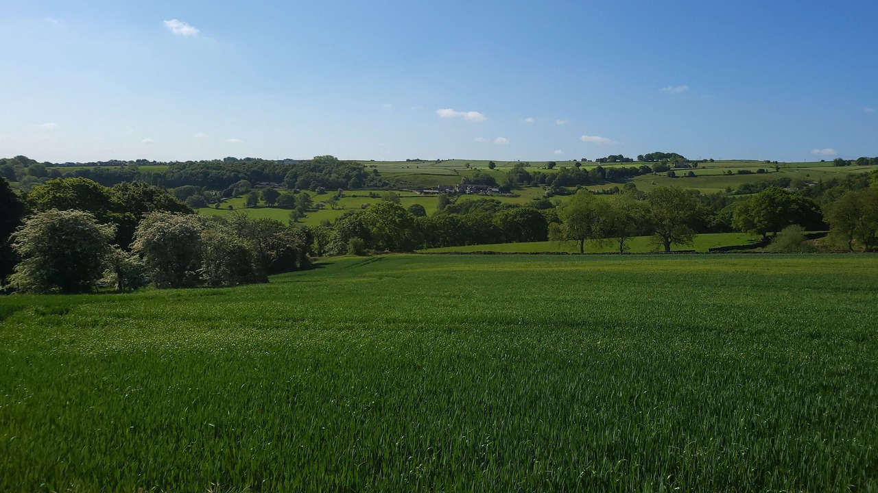 Photo of Others in Wharncliffe