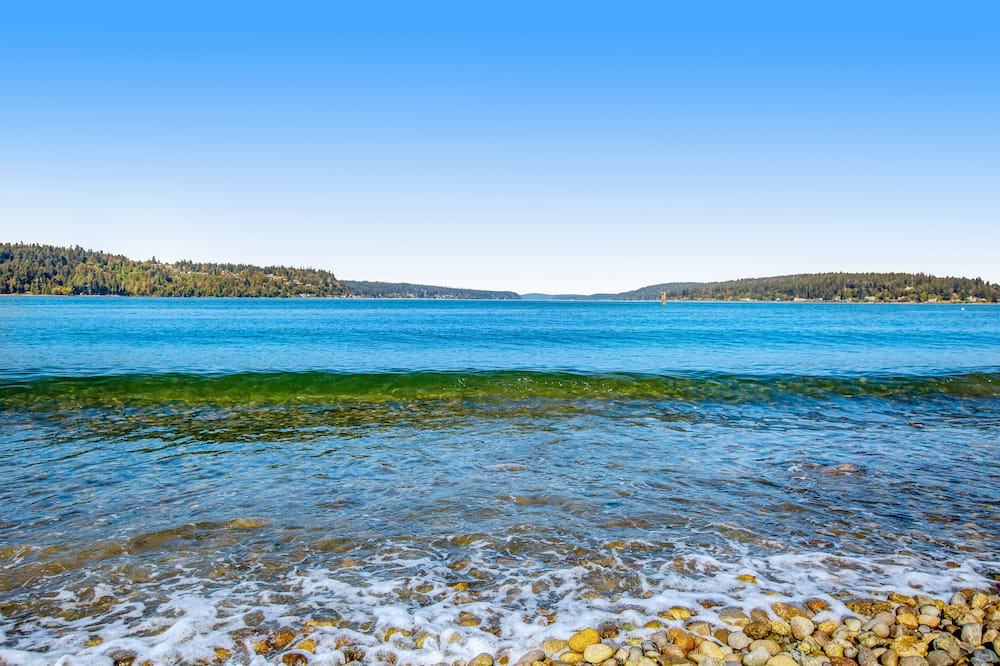 Photo of Others in Retsil