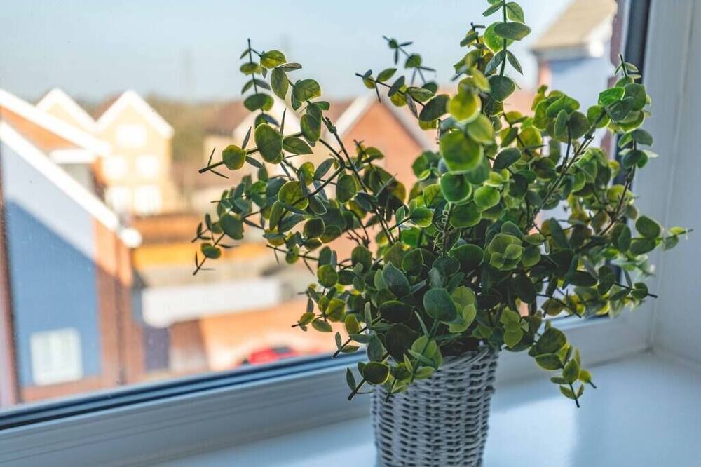 Photo of Others in Langley Marish