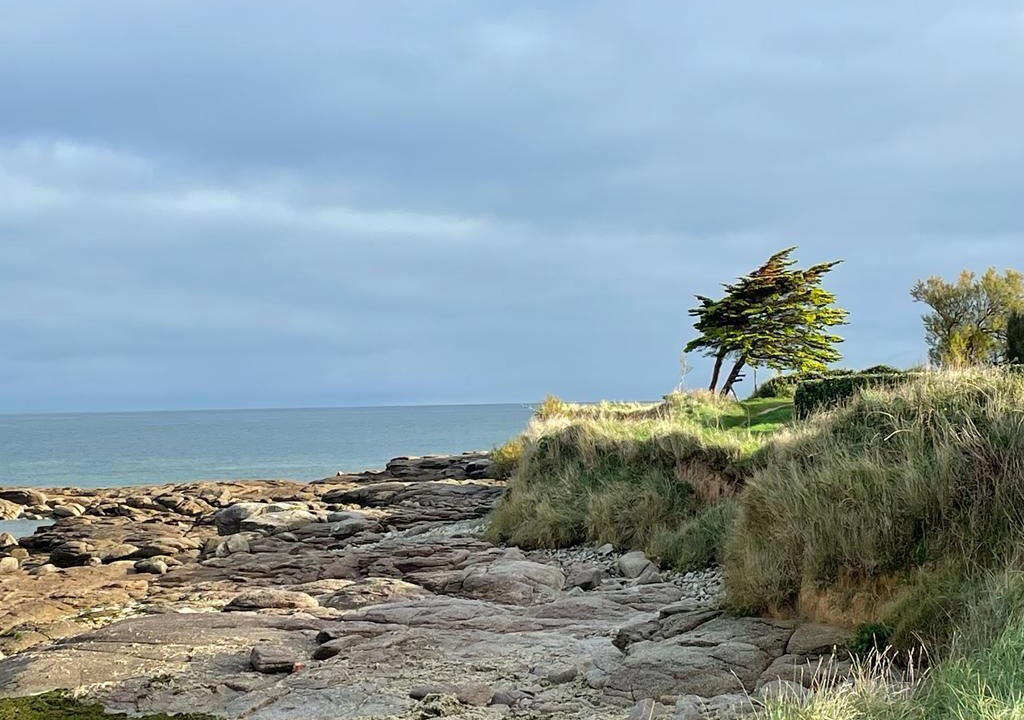 Photo of Others in Montfarville