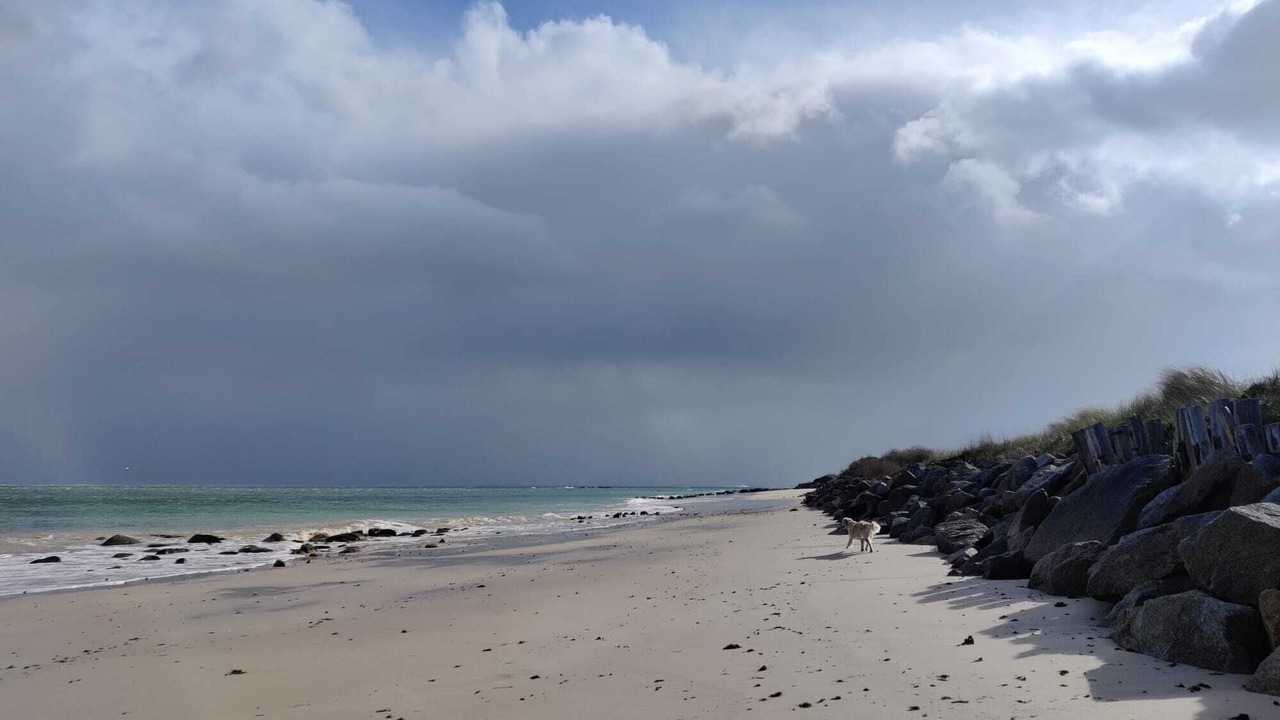 Photo of Others in Montfarville