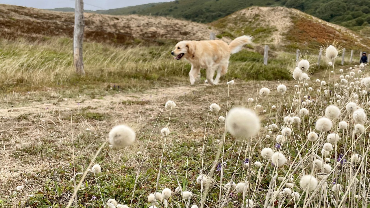 Photo of Others in Montfarville