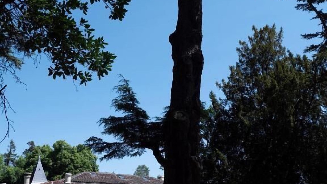 Photo of Outdoor in Artigues-pres-Bordeaux