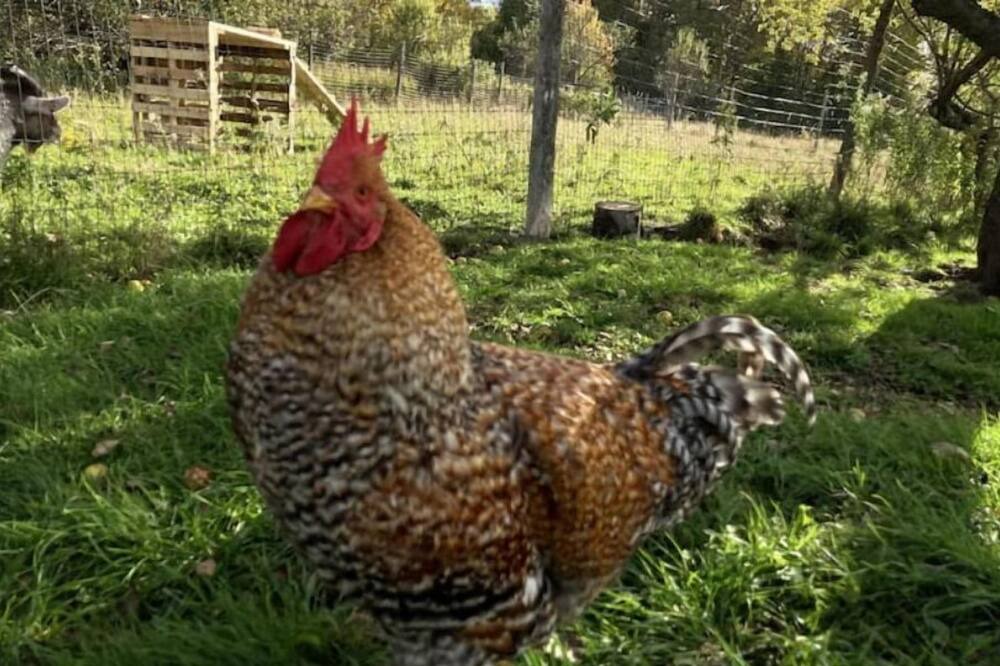 Photo of Outdoor in Albany