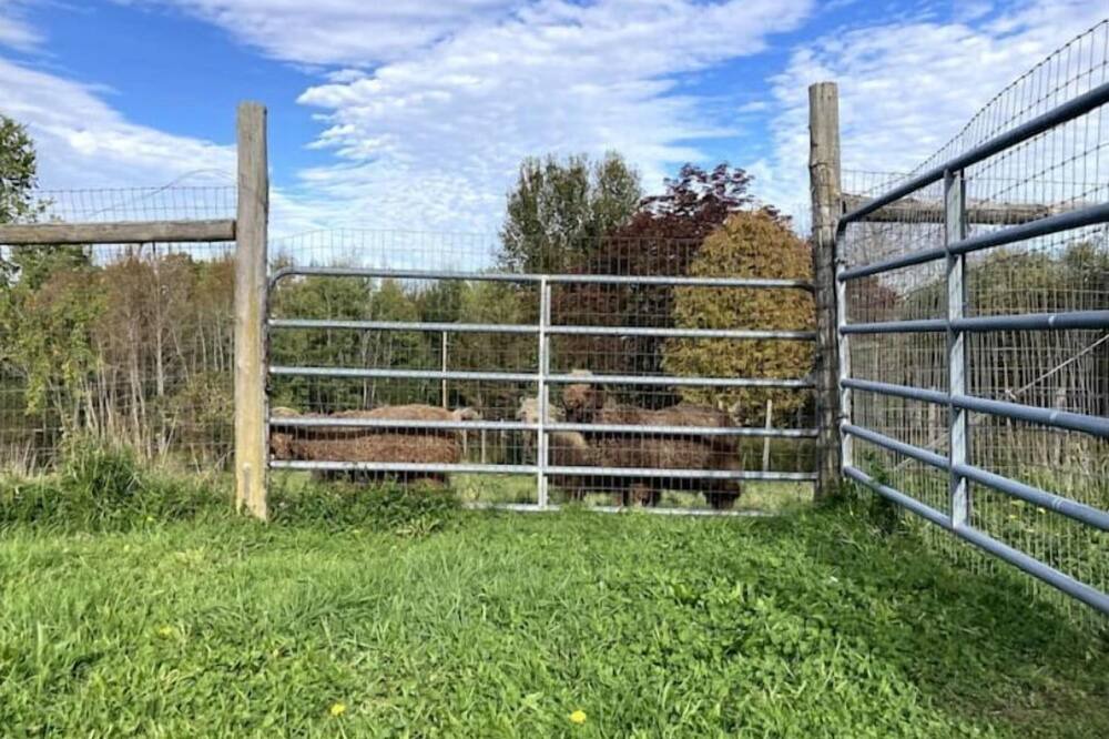 Photo of Outdoor in Albany