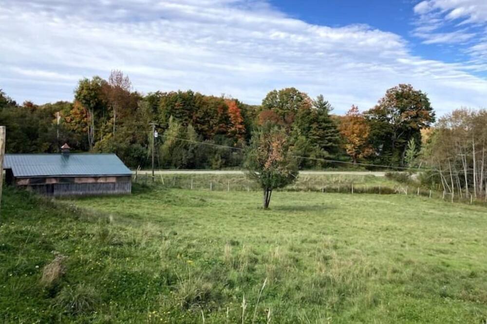 Photo of Outdoor in Albany