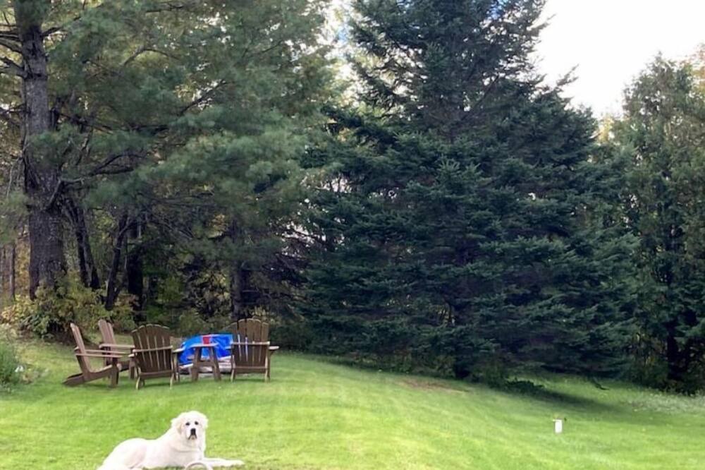 Photo of Others in Albany