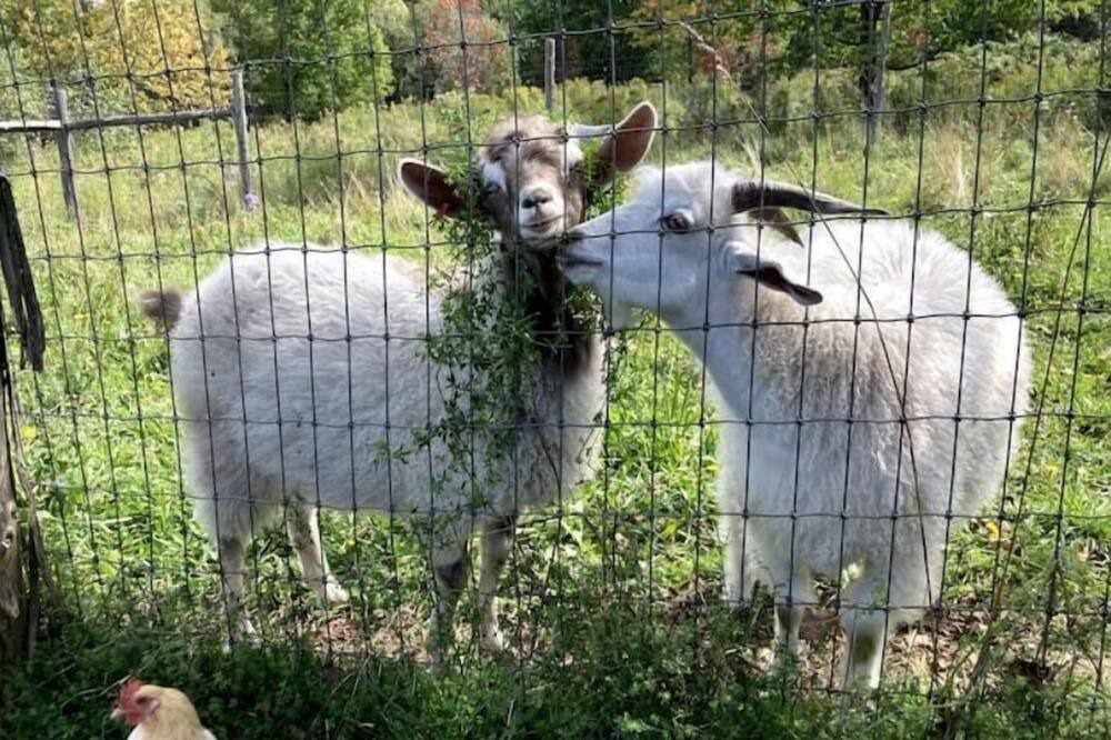 Photo of Others in Albany