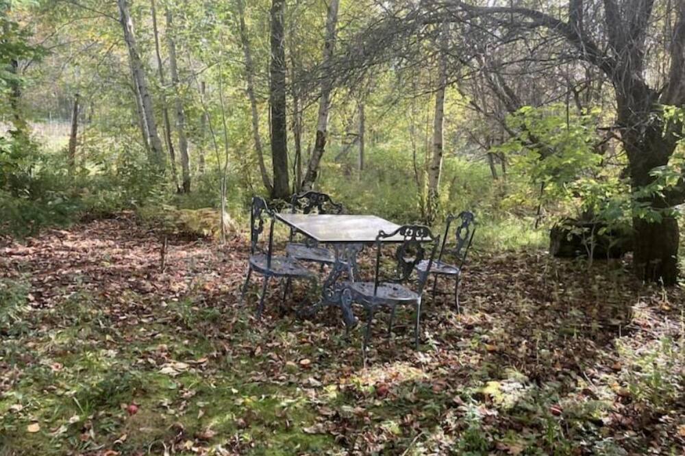 Photo of Outdoor in Albany