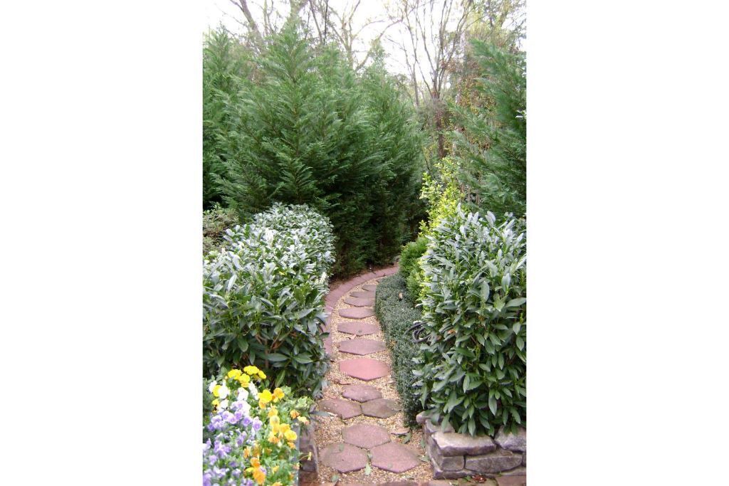 Photo of Outdoor in Green Hills