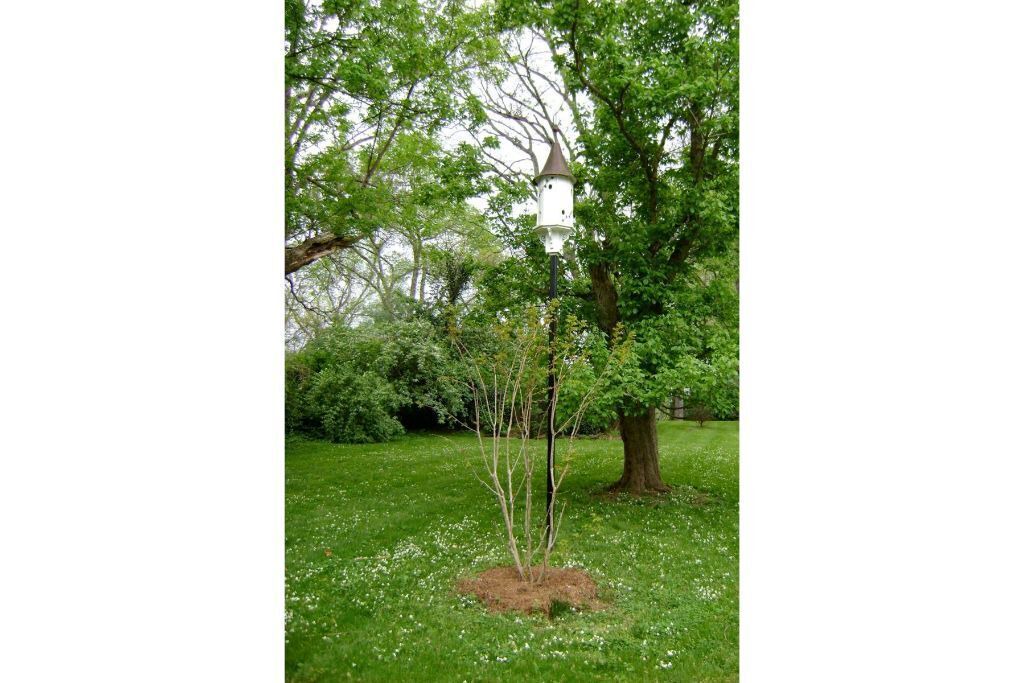 Photo of Outdoor in Green Hills